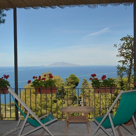 Le Ginestre Di Capri Bb & Holiday House Anacapri  Eksteriør bilde