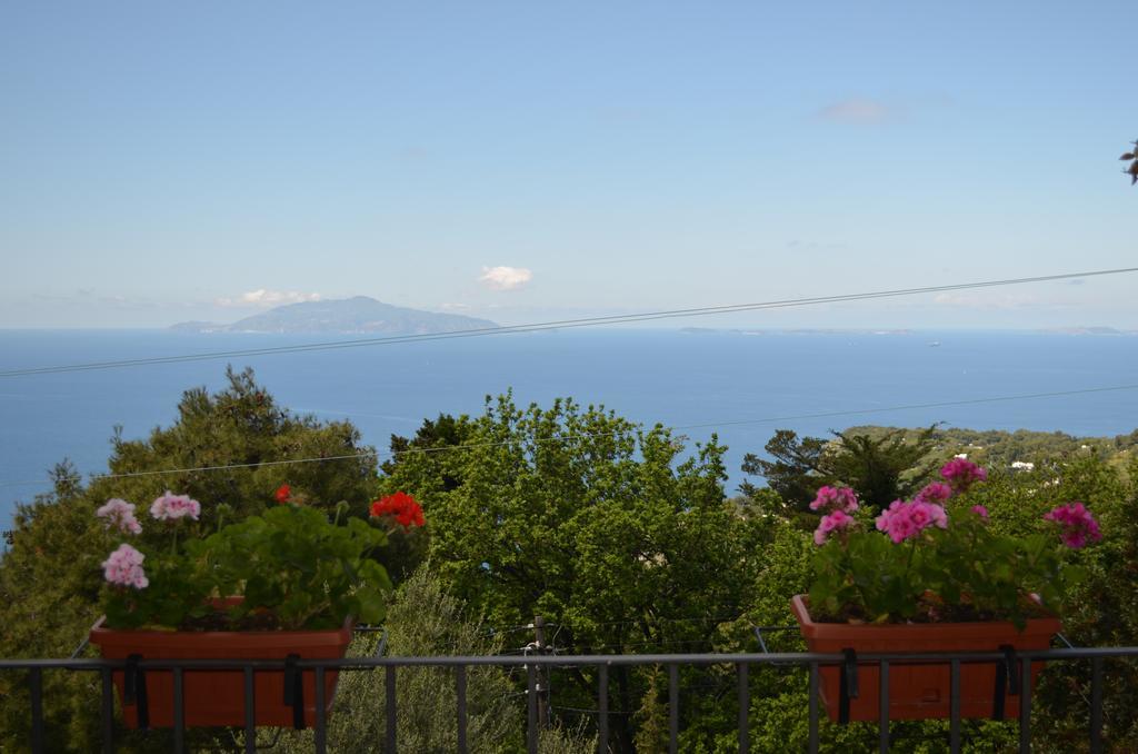 Le Ginestre Di Capri Bb & Holiday House Anacapri  Eksteriør bilde