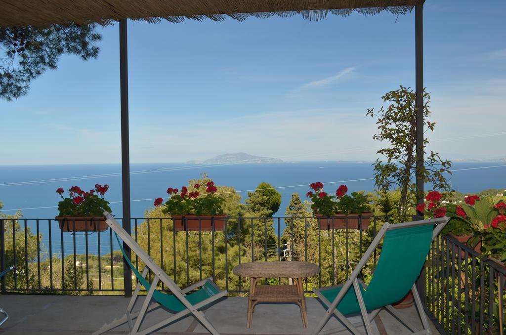 Le Ginestre Di Capri Bb & Holiday House Anacapri  Eksteriør bilde