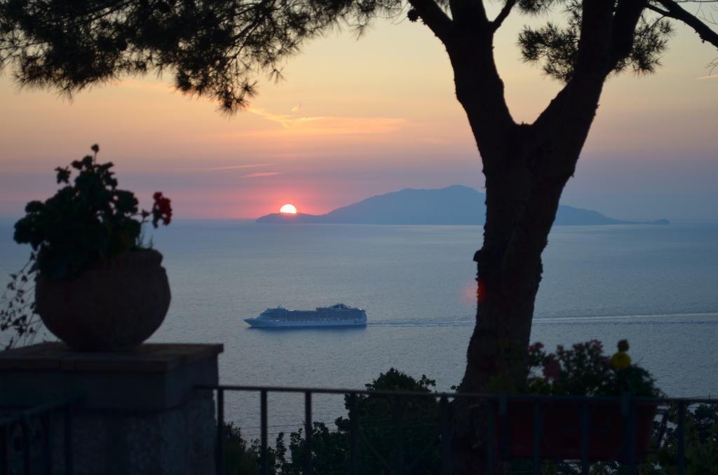 Le Ginestre Di Capri Bb & Holiday House Anacapri  Eksteriør bilde