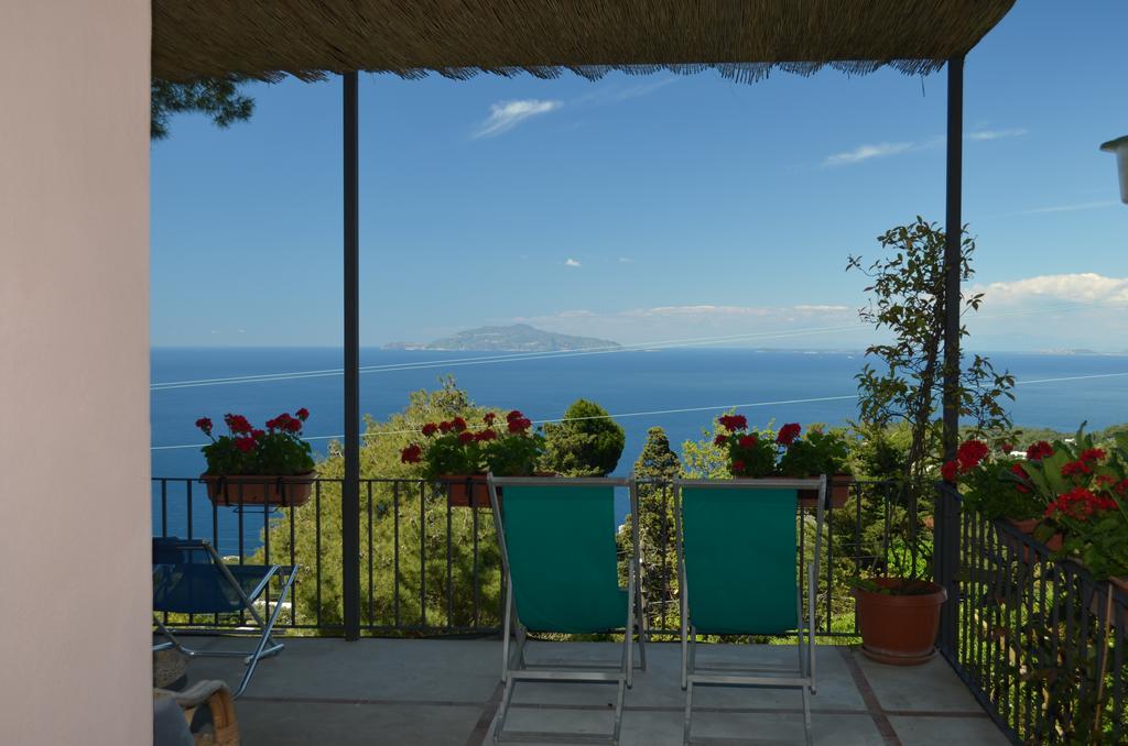 Le Ginestre Di Capri Bb & Holiday House Anacapri  Eksteriør bilde