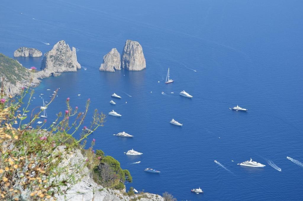 Le Ginestre Di Capri Bb & Holiday House Anacapri  Eksteriør bilde