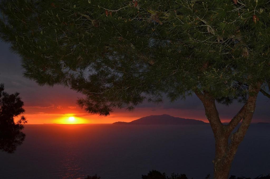 Le Ginestre Di Capri Bb & Holiday House Anacapri  Rom bilde