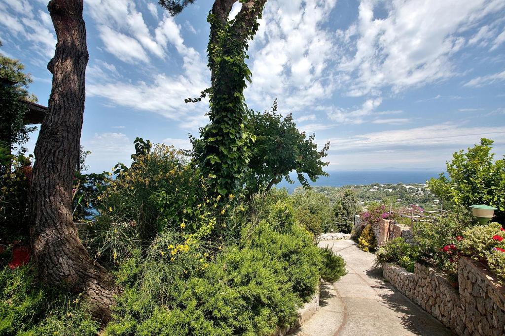Le Ginestre Di Capri Bb & Holiday House Anacapri  Eksteriør bilde