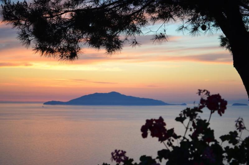 Le Ginestre Di Capri Bb & Holiday House Anacapri  Eksteriør bilde